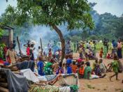 7. New Arrivals from CAR